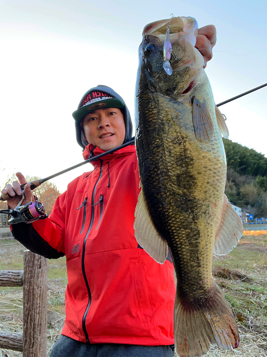 狩野 陽