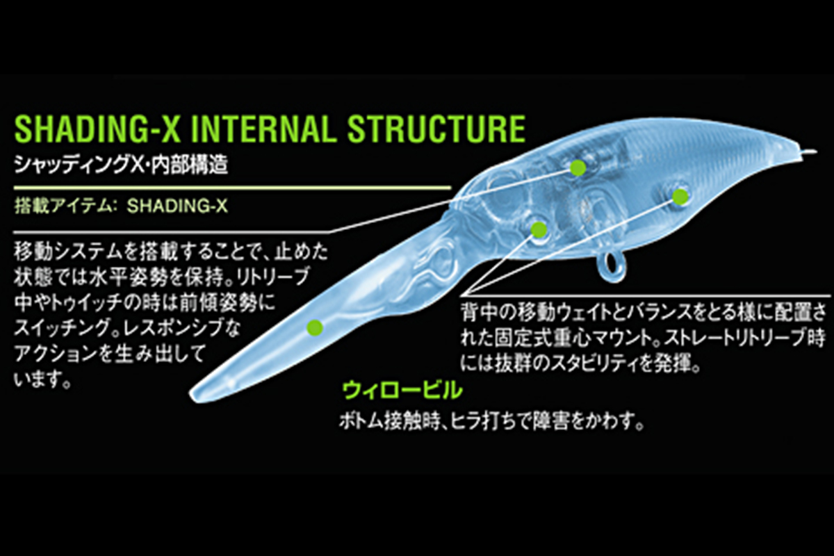 狩野 陽