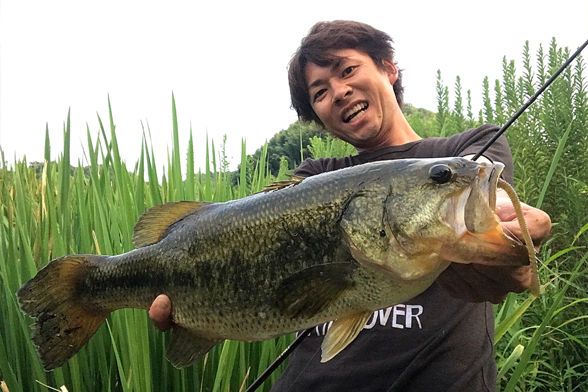 狩野 陽