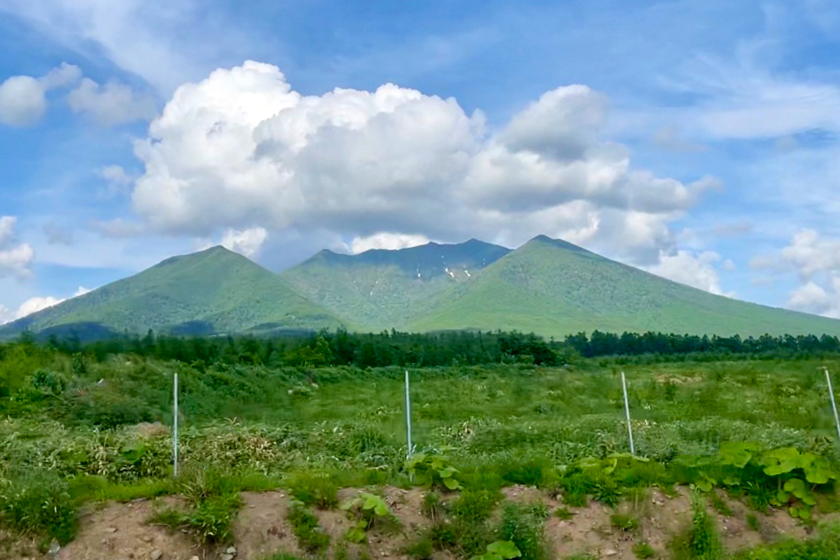 福山 正和