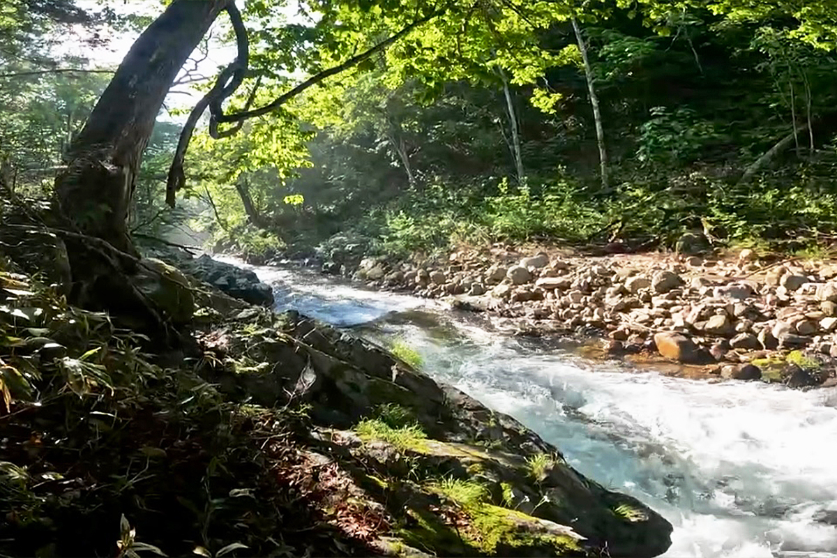 福山 正和