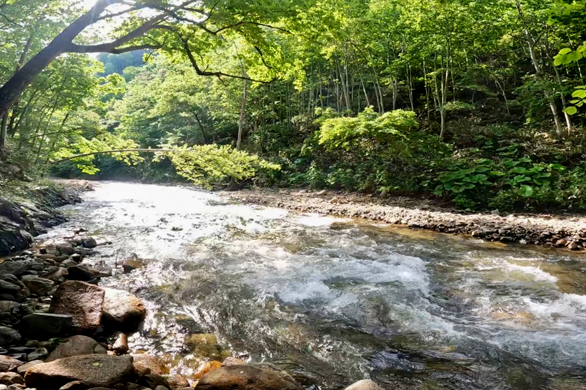 福山 正和