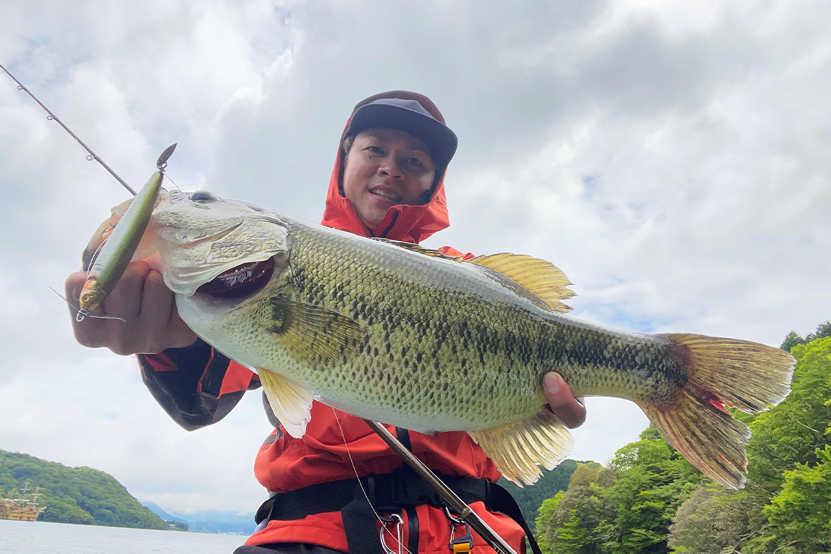 狩野 陽