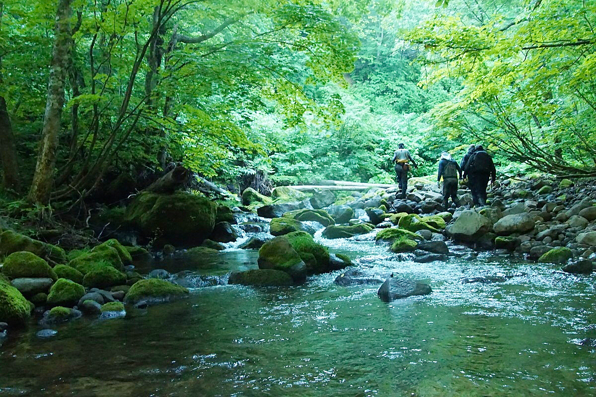 福山 正和