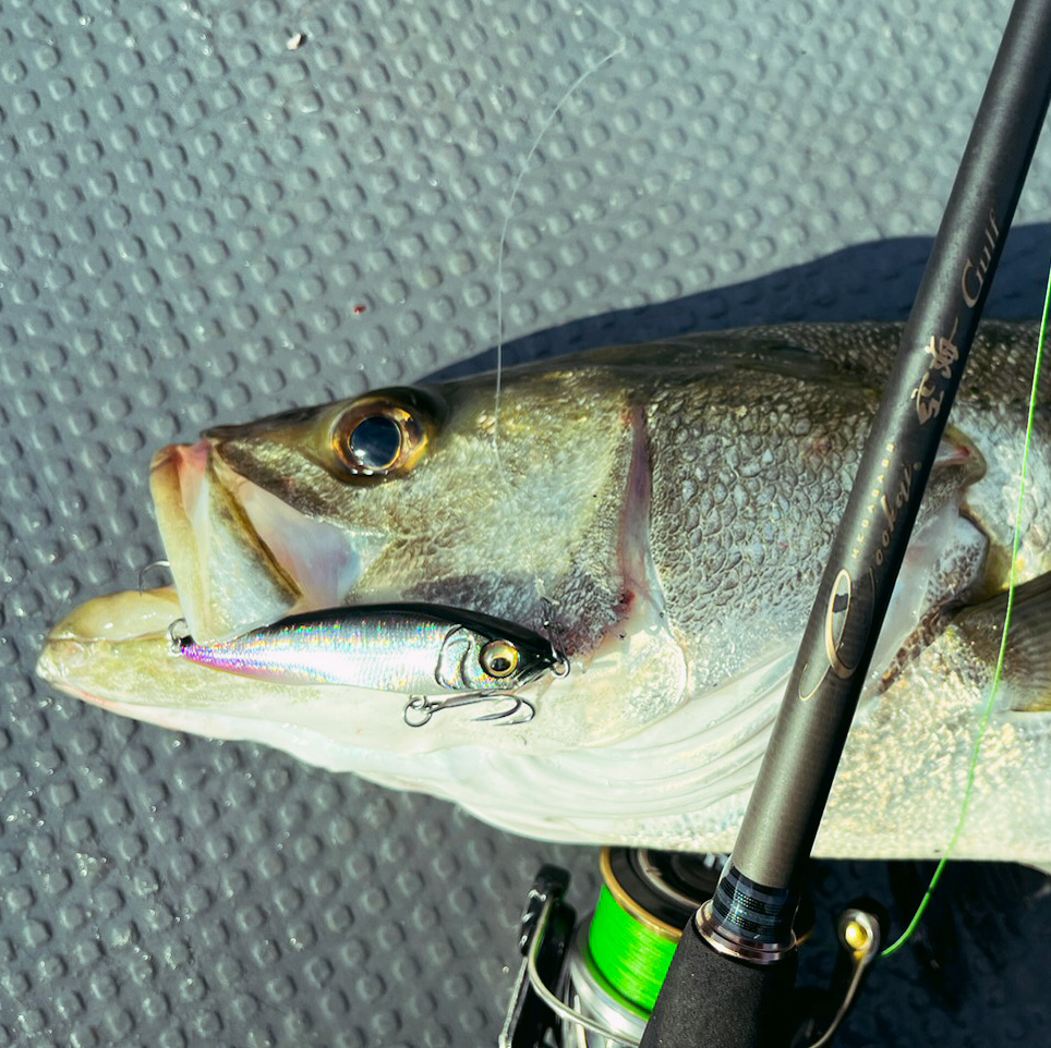 Leurre Megabass Homura 86 GC Chiaya – Pencil Coulant Avec Grelots – Pêche En Mer