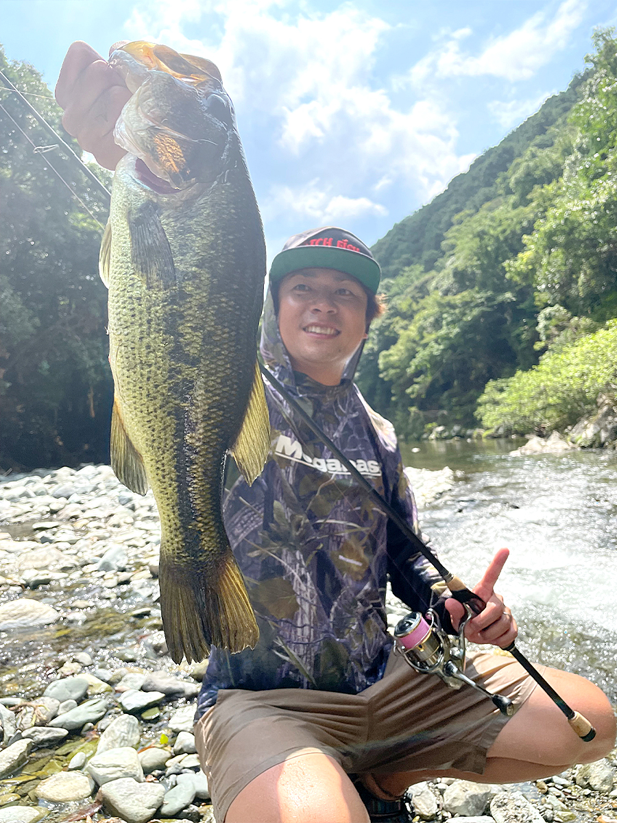 狩野 陽